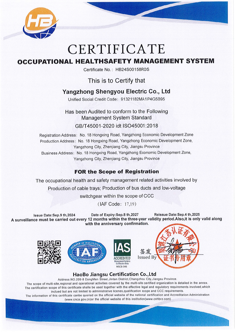 扬中市盛友电气有限公司  QES  监一(1)-6.jpg