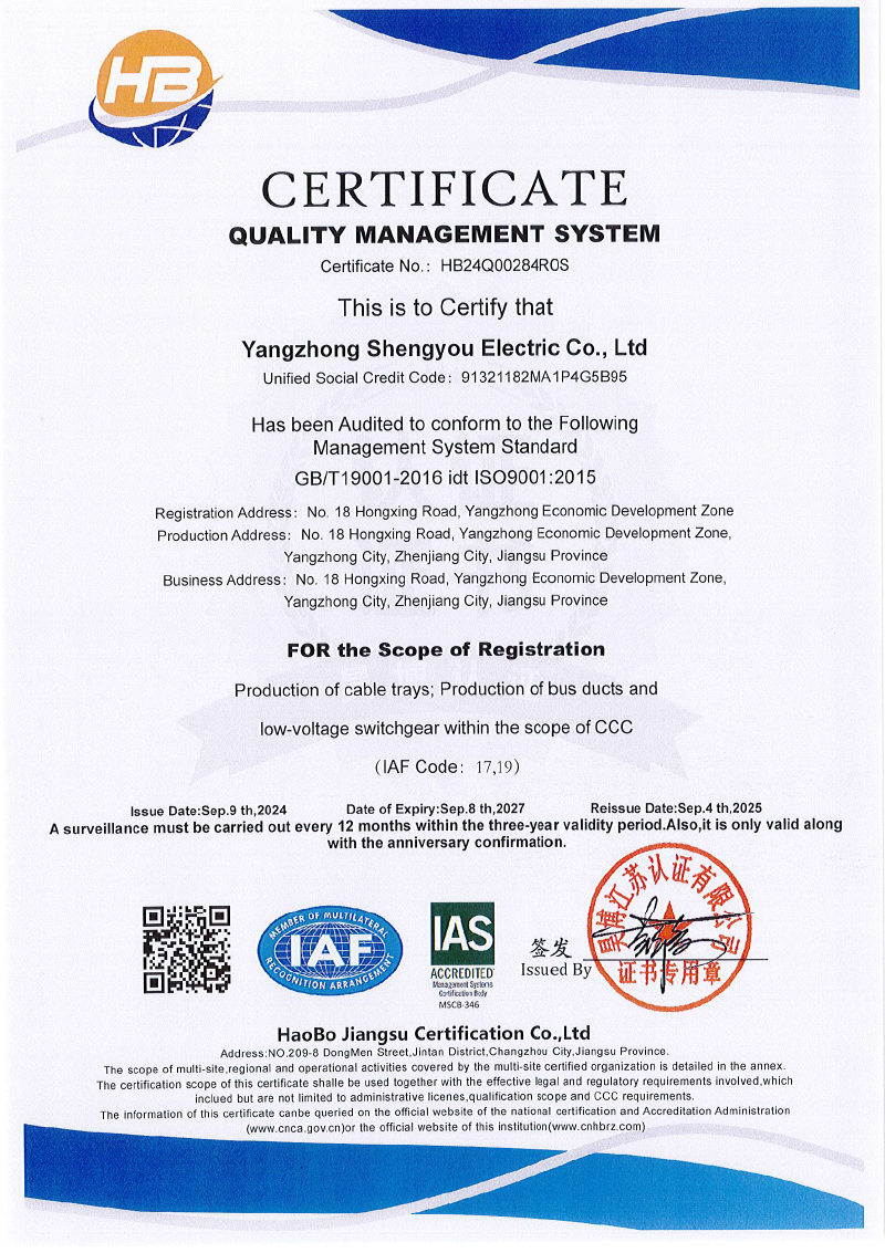 扬中市盛友电气有限公司  QES  监一(1)-2.jpg